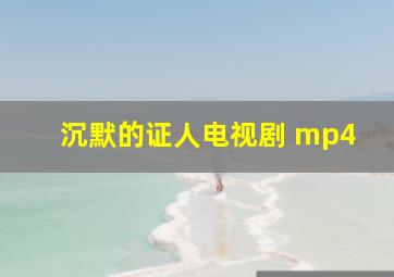 沉默的证人电视剧 mp4